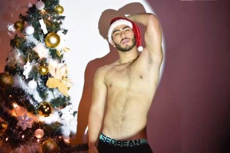 Franco_banderas navidad Pic 3