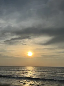 Latino_Junge Dreams come true 🥹  3টি ছবি