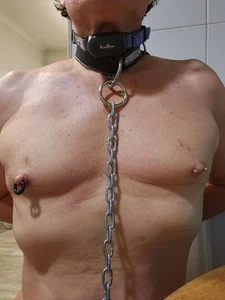 painslutfr Tits slave 사진 2