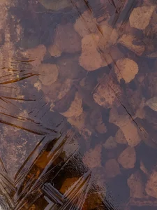 Eric_etherThe world around me图片 5