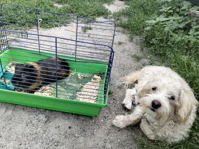 My pets =)