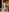 kiarafoxter's photo