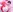 プリンス限定👑裸エプロン💗+🐮ビキニ