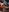 DominasObeyLab's photo