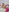 Lorena422's photo
