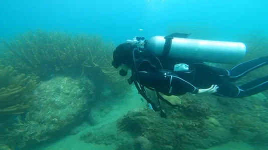 Open water diving de lorna_cox_bdsm  8 Imagens