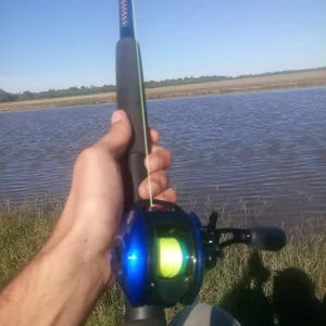 antiago72 Public Pic 2