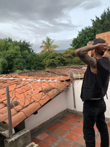 Zdjęcia jonas_conor Public:  5