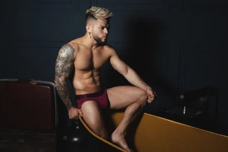 vincent_carusso94 Stallion Foto 3