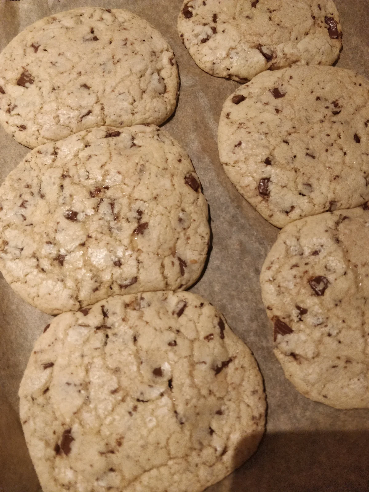 ภาพที่กำลังนิยมของ Luca_Sweet  1685