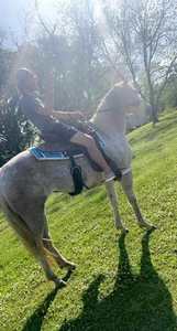 Public de KingDingaLing34 Foto 4