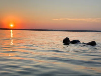 EveLibston in sunlight 사진 3