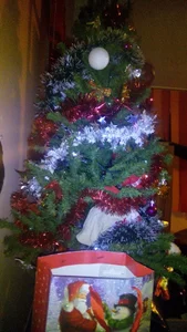 Special outfits for christmas perios de Imperatriza  4 Imagens