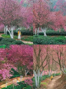 Eva_Meo Do you want to go with me? It's really beautiful. Pic 3