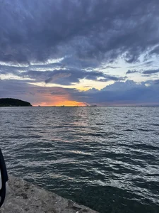 paulacora's photo
