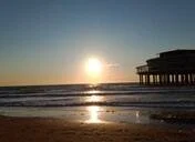 Public de Mokey-D  9 Imagens