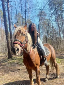 Adele_Shy_ Your fatal horsewoman🏇🏻🤩 صورة واحدة|Adele_Shy_ Your fatal horsewoman🏇🏻🤩 صورتان|Adele_Shy_ Your fatal horsewoman🏇🏻🤩  3 صور|Adele_Shy_ Your fatal horsewoman🏇🏻🤩  3 صورة