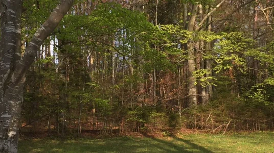 nikole_kitt How beautiful the world is 😍 Pic 3