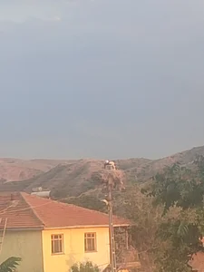 Ortaya karıskk baby
