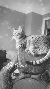 rapha54 Public Hình 2