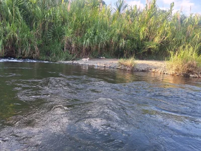 River day :) de Amun_obsidian  6 Imagens