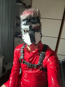 danix_wild_wolf urca Poză 3