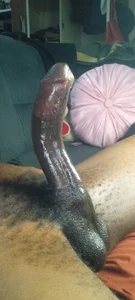 BBC_lovingのCULVED BBCの枚の写真