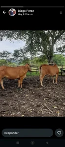 Zdjęcia xjkedv Scjjj: 