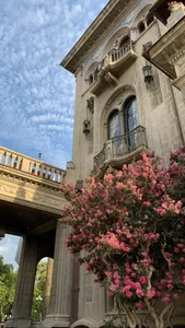 LixeLuna aesthetic Poză 5