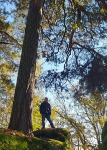 Miro9 Public Poză 2