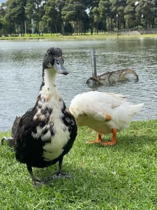 LiaTeylor a nice trip🥺💞 Pic 3