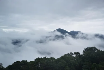 A6229 自拍 Hình 2