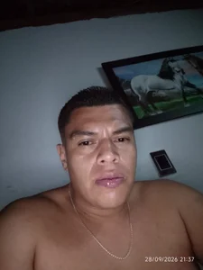 Rojo de Faisevenbvx  Imagens