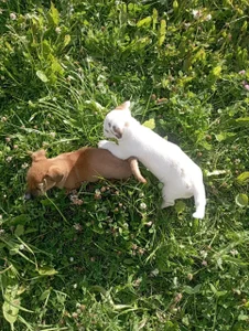 Lily_flower7 kullanıcısının Little joys❤ albümü -  5 fotoğraf