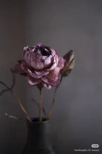 _Purefection Public Pic 6