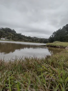 Heterobusca Public 圖片 4