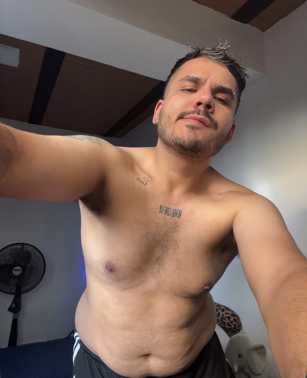 Kevin_Spenser Populært bilde 2265