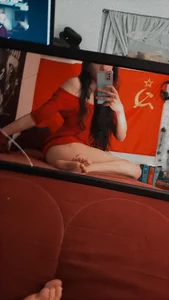 Acorn_seed Public Pic