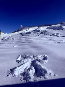 zui_lu: ❄️⛄️ ( 6 фото)