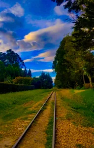 alicce_moon_ Pictures I took 🖤 圖片 5