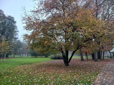 amabel_zambrano Milán Italia autumn صورة واحدة|amabel_zambrano Milán Italia autumn صورتان|amabel_zambrano Milán Italia autumn  5 صور|amabel_zambrano Milán Italia autumn  5 صورة