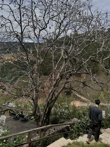 Loki_2k Public 사진 2