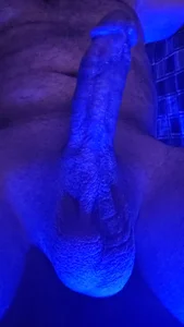 silenos35 palette Bilde