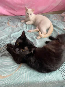 Zdjęcia HaruRose_ Public:  5