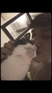 Jake_Falcon my cute pet Poză 3
