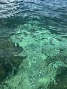 zui_lu kullanıcısının 🐚🌺🧡☀️ albümü -  3 fotoğraf