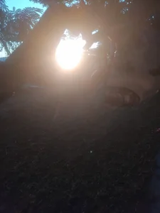 KamdollieのPublicの 7枚の写真