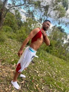 almbun 7 de Hzorro1  9 Imagens
