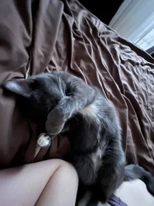 LeanneDinkle again my kitty and elevator :) Fotka 4