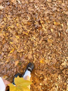 Dona020 日本の美しい景色 사진 8